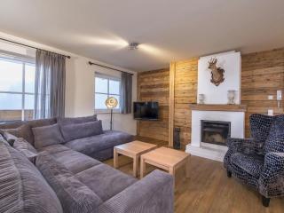 Apartment Alpenresort Saalbach E2 - Saalbach-Hinterglemm - 0