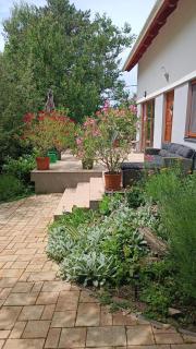 Füge Vendégház Sajkod - 1