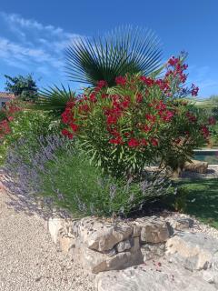 Douce Provence Magnifique appartement neuf avec jardin proche du centre ville - Vaison-la-Romaine - 0
