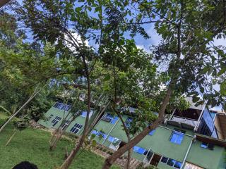 Chimpanzee Lodge - 8