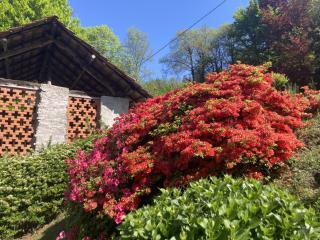 La Tonaccia - B&B per due - Orta San Giulio - 8