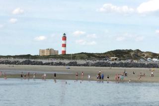 GITE du Phoque Gris - Berck-sur-Mer - 1