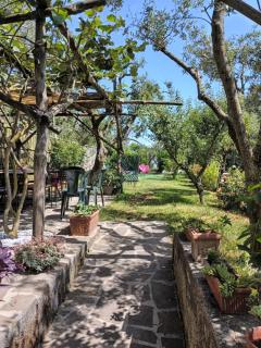 Amalfi Coast, Positano, Sorrento, Capri, Garden, Villa Carcara - Colli di Fontanelle - 5