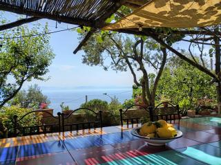 Amalfi Coast, Positano, Sorrento, Capri, Garden, Villa Carcara - Colli di Fontanelle - 6