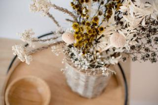 Dovecote - Launceston Luxury - Inveresk - 5