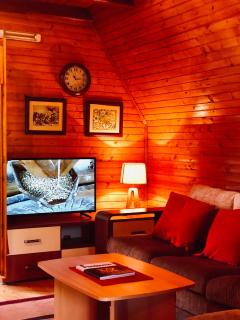 Lulu Cottage - Žabljak - 3