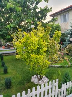 Vila alex - Mangalia - 5