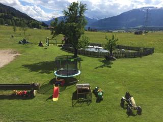 Hoferbichlgut - Saalfelden am Steinernen Meer - 5