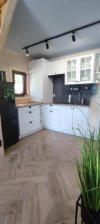 Domki Bieszczadzki Czar Rodzinny 661-850-410 - Polańczyk - 1