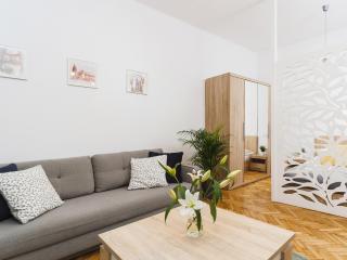 1 Bedroom Apartment - Starowiślna 54 - 8