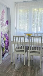 Apartman Karla - 7