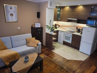 Tytus Apartment z klimatyzacją i bezpłatnym parkingiem - Danzig - 6