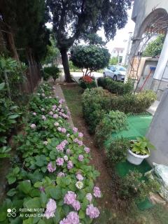 Apartmani Gaga - Bibinje - 2