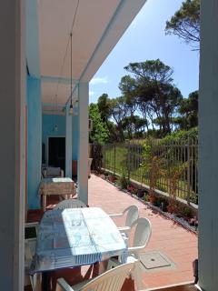 Bibbona Summer - Pineta 1 - - Marina di Bibbona - 9