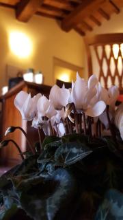 Dimora Fra' Giovanni B&B Relais - Magione - 2