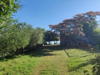 Casa Vecchia - Tkon - 1