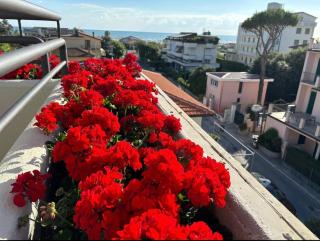 Luxury Pentohuse near the Beach - Marina di Pietrasanta - 2