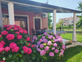 Apartments Dragica - Poreč - 8
