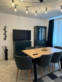 AJ Apartment Unirii Square - Timişoara - 7