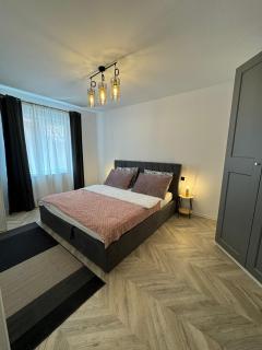 AJ Apartment Unirii Square - Timişoara - 1