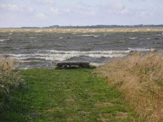 Sternenwelle Comfortable holiday residence - Langendamm - 4
