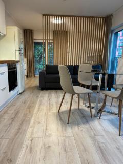 Apartament Madalinskiego - 6