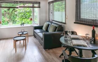 Pet Friendly StaCaravan - Hattemerbroek - 9