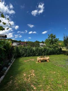 Apartman Matej - Otočac - 5