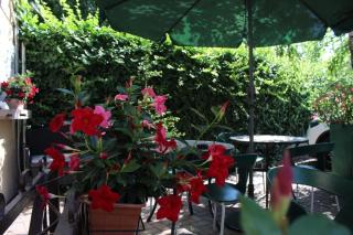 Domino Hotel - Torino - 1