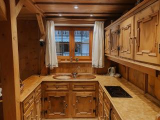 Alpina Apartments - Klosters - 7
