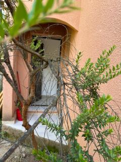 villa arbutu - Olmeto - 3