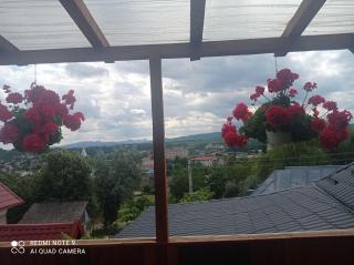 Casa ROOL - Turda - 6