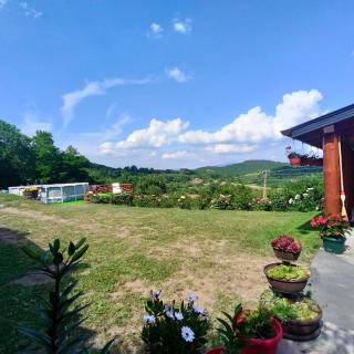 Vujanac vikend kuća - Raška - 2