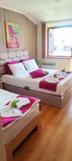Cedar Lodge 3/4 Apartment Paradise - Bansko - 7