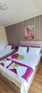 Cedar Lodge 3/4 Apartment Paradise - Bansko - 9