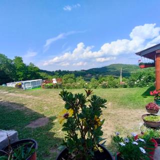 Vujanac vikend kuća - Raška - 2