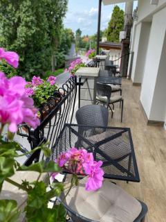 Spa & Pool Apartments Prestige VILLA IVICA - Bratislava - 9