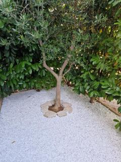 Apartmani Komin - Pakoštane - 8