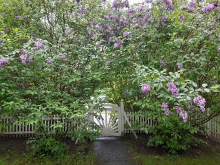 Ihana rivitalohuoneisto tarjolla - 9