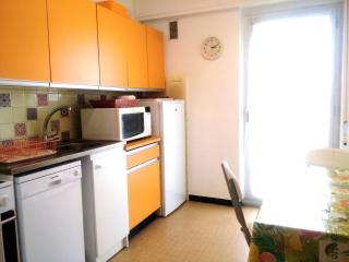 Grand 2 pièces CLIMATISE, TERRASSSE VUE MER & PROCHE FETE DU CITRON - 4