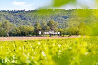 Bastide Domaine Tour Campanets - Le Puy-Sainte-Réparade - 2