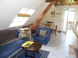 Gîte 1 étage - Dambach - 0