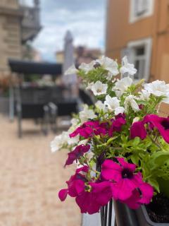 Lucy - Opatija - 6