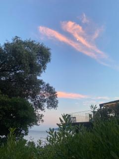 Lucy - Opatija - 2