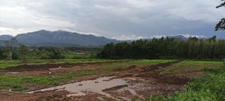 Malgudi Mane Homestay - Chikmagalūr - 6