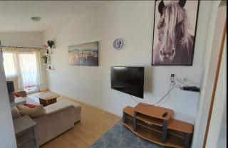 Apartman Filipović - Vir - 3