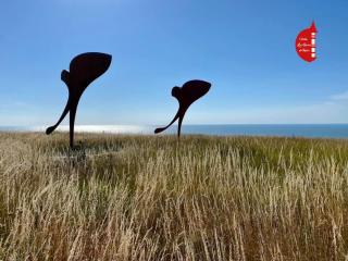 Appartement La Goelette - Mers-les-Bains - 1