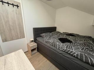 City Apartment Holgi - 1