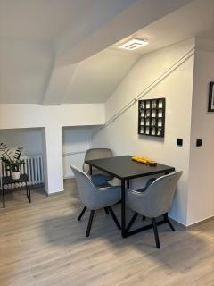 City Apartment Holgi - Novi Sad - 7