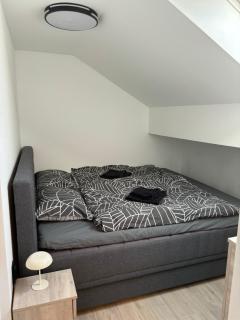 City Apartment Holgi - Novi Sad - 2
